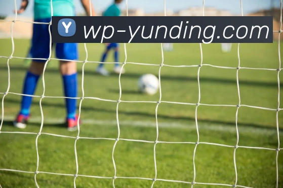 App Interface Preview