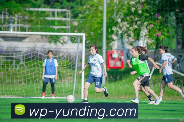 4118云顶官网APP 封面图